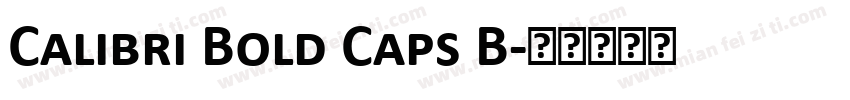 Calibri Bold Caps B字体转换